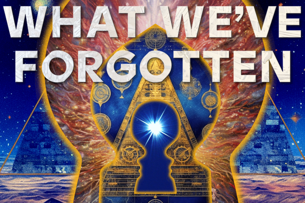 The book: What We've Forgotten, by Amy Miranda