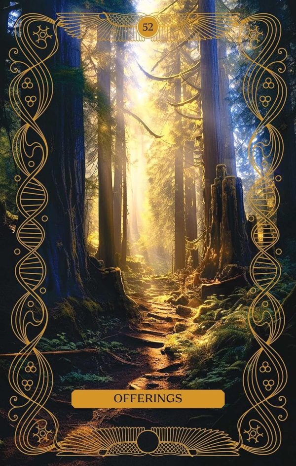 An image of a grove of trees in a forest, sunlight lights the path