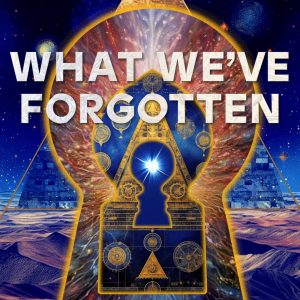 What We've Forgotten - Hardcover